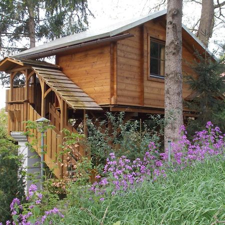 Baumhaus Wolfshoehle Fischach 外观 照片